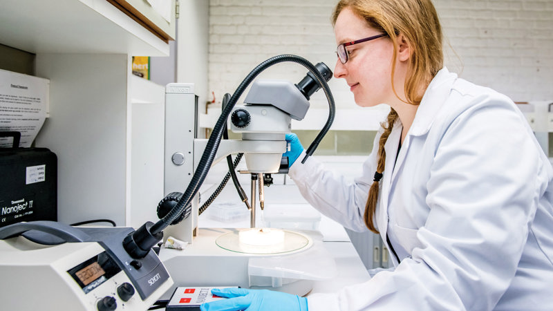Dierkunde Toxicologie Groep 61