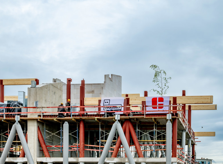 Meiboom Nieuw Campusgebouw Uhasselt