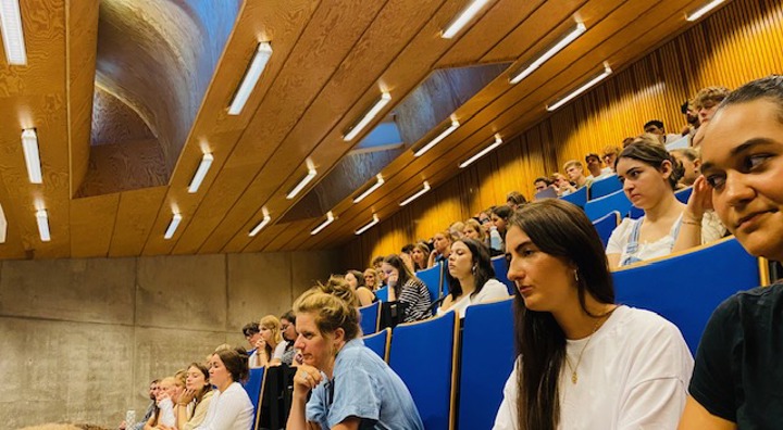 IMG 3374