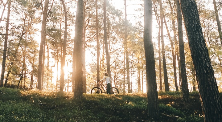 Burnout Natuur