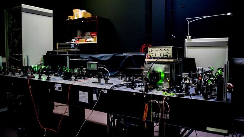 Labs