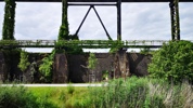 IMG 20210707 141040